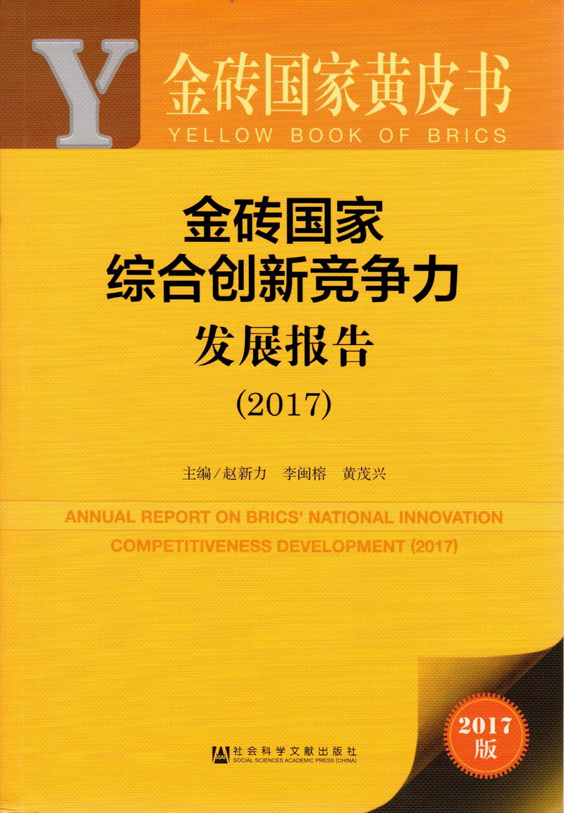 大鸡巴疯狂操我骚逼视频金砖国家综合创新竞争力发展报告（2017）